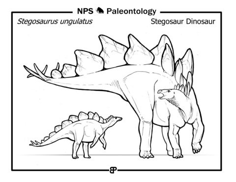 Stegosaur Dinosaur (Stegosaurus Ungulatus) Coloring Page